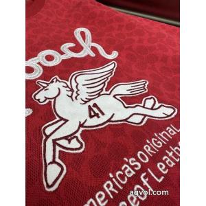 透け感良さ 今年らしい着こなし 個性的なスタイリングCOACHパーカー激安 通販 専門.