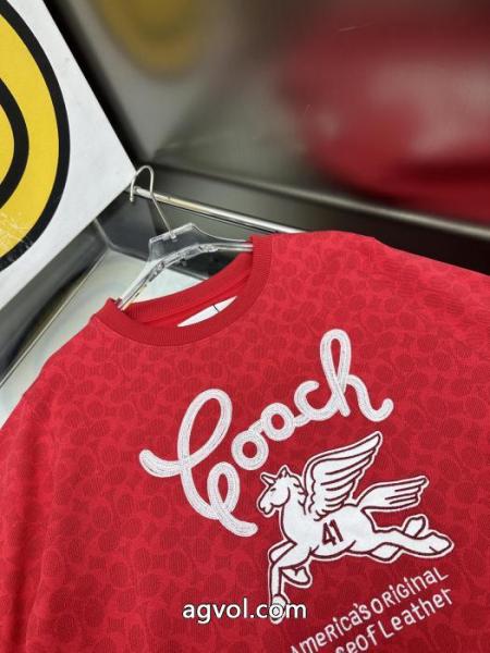 透け感良さ 今年らしい着こなし 個性的なスタイリングCOACHパーカー激安 通販 専門. 3