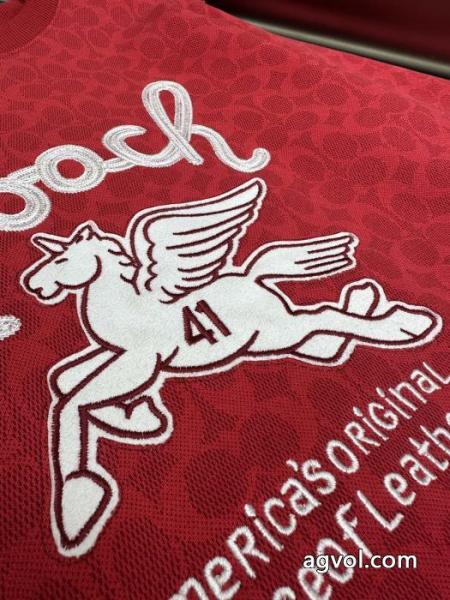 透け感良さ 今年らしい着こなし 個性的なスタイリングCOACHパーカー激安 通販 専門. 4