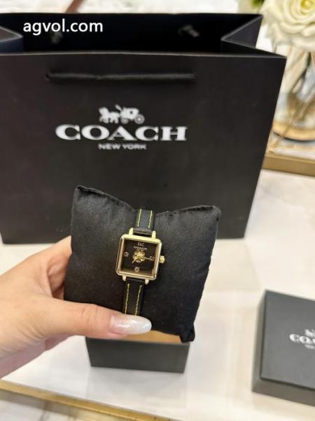 ブランド コピー s 級腕時計COACH上品さ漂う セール価格でお得 超激得新品 3